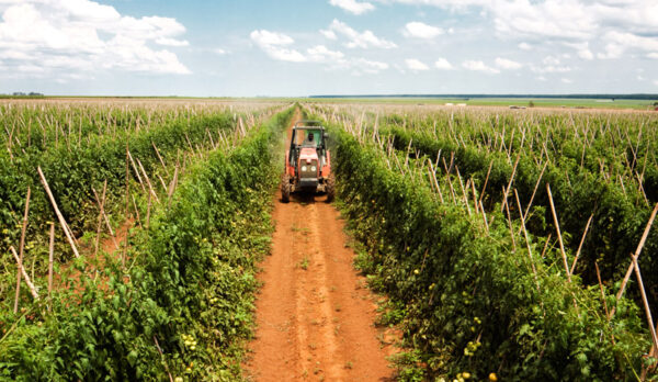 Agrobusiness 01